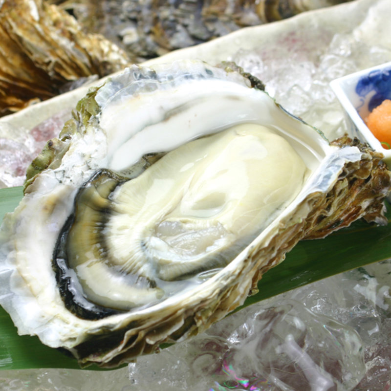 生カキ(すみれ家)