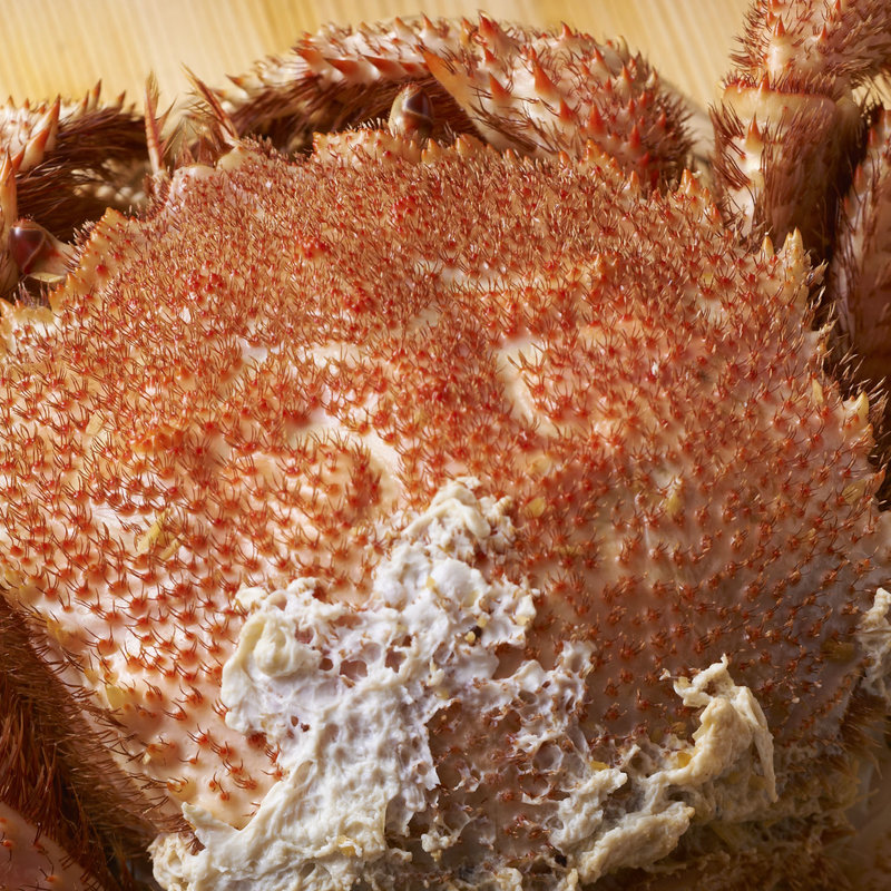 蒸し毛ガニ(佐っちゃん 六本木 )