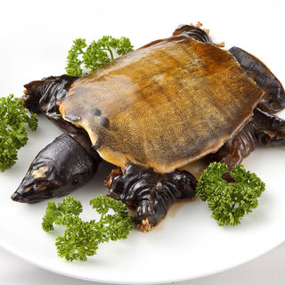 すっぽんの姿蒸し(上海大飯店)