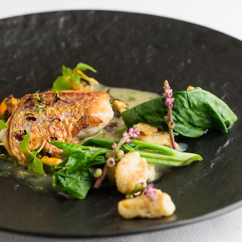 本日の魚料理(プレヴナンス)