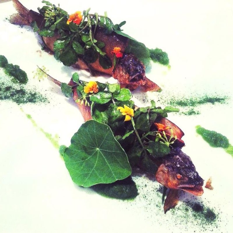 鮎の燻製とパテ(レストラン セビアン （restaurant c'est bien）)