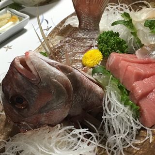 鯛の刺身盛り(魚伝)