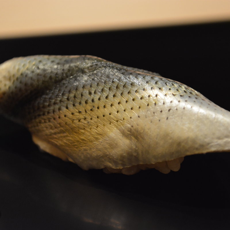 コハダ(鮨さゝ木)