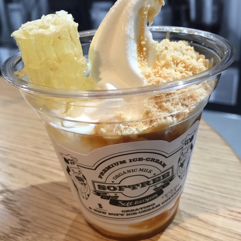 (SOFTREE 原宿 （ソフトリー【旧店名】ミルクカウ）)