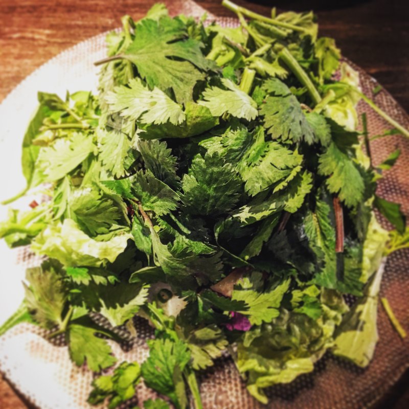 魚介のパクチー山盛り スパイシーサラダ(eL MamBo 茅ヶ崎〜スペイン料理とワイン〜)