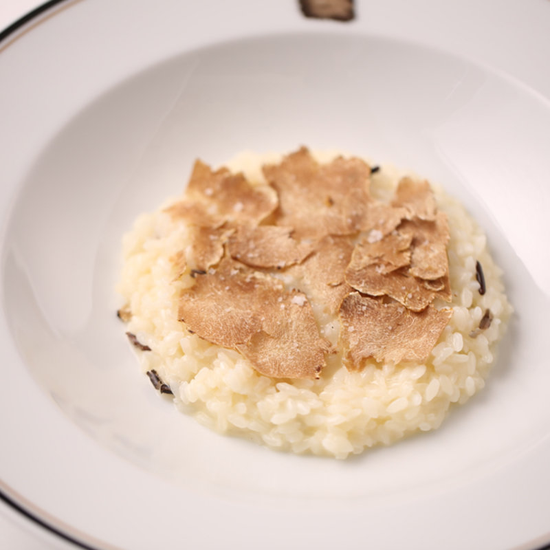 サマートリュフリゾット(Terres de Truffes, Tokyo （テール・ド・トリュフ東京）)