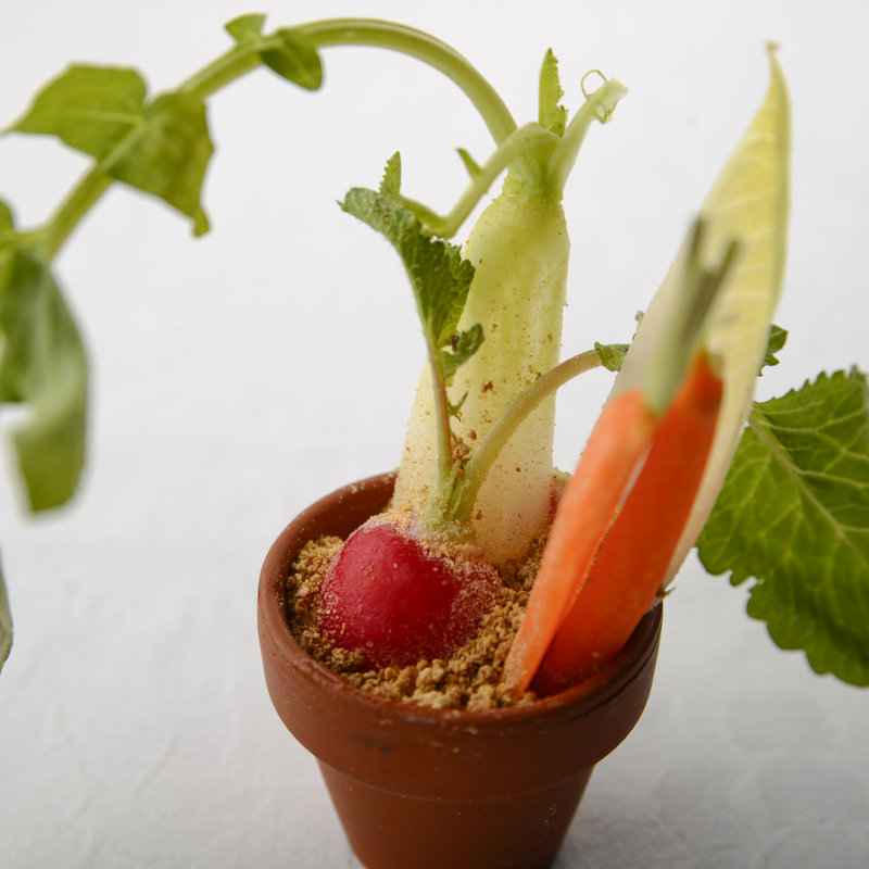 小さな野菜畑(銀座フレンチ＆ワインバー地球星)