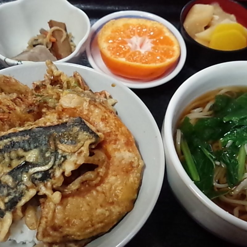 ミニ野菜丼小せいろ付(手もみそばいけもり )