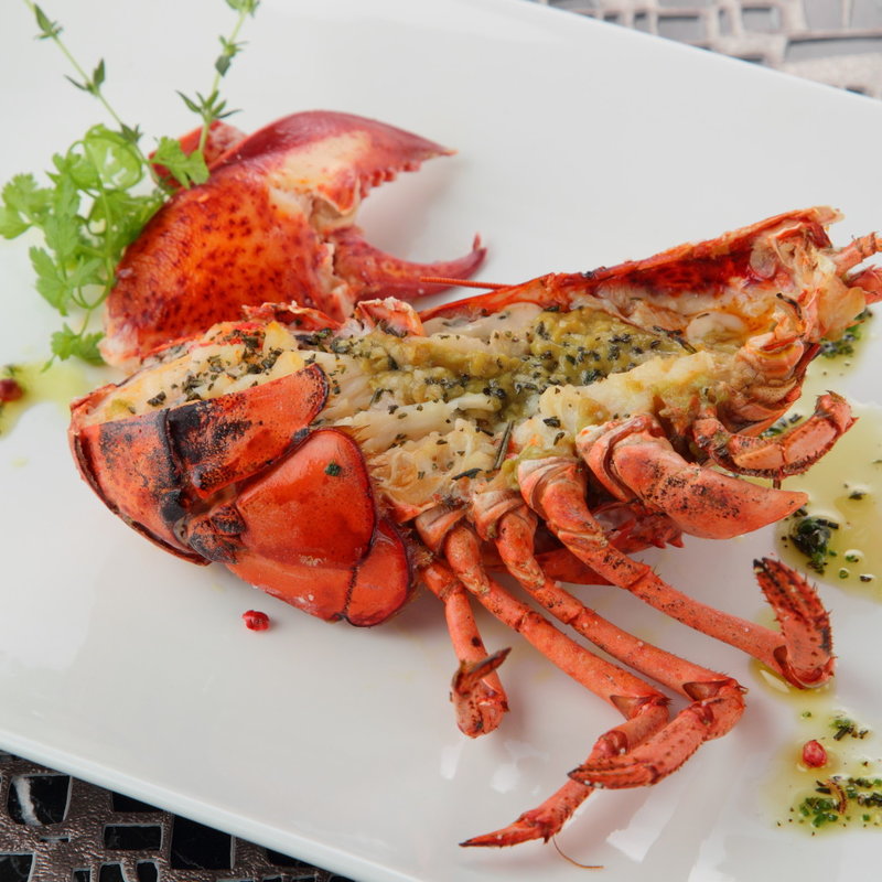 オマール海老のグリル(ヴィーナス)