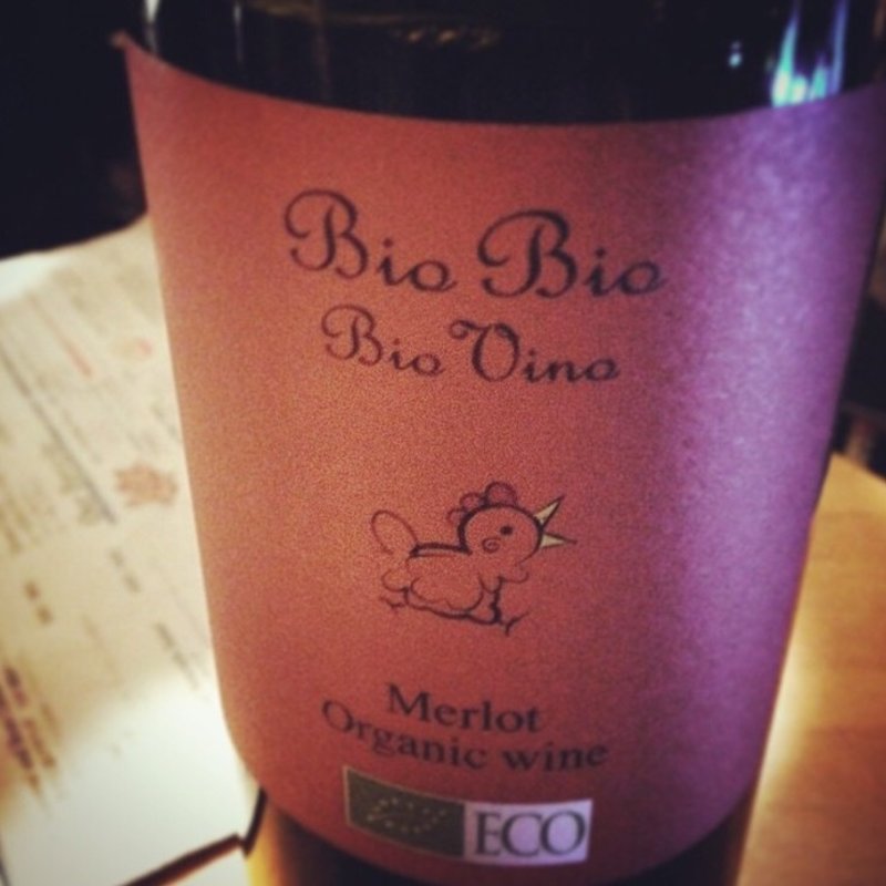 Bio Bio Merlot(THE RIGOLETTO ocean club)