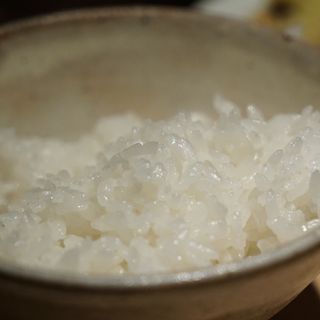 【富山県】砺波市　コシヒカリ　特別栽培米(正しい晩ごはん 白-はく- )