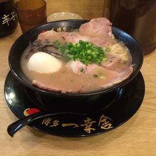 味玉チャーシュー麺(博多 一幸舎 京都拉麺小路店 （いっこうしゃ）)