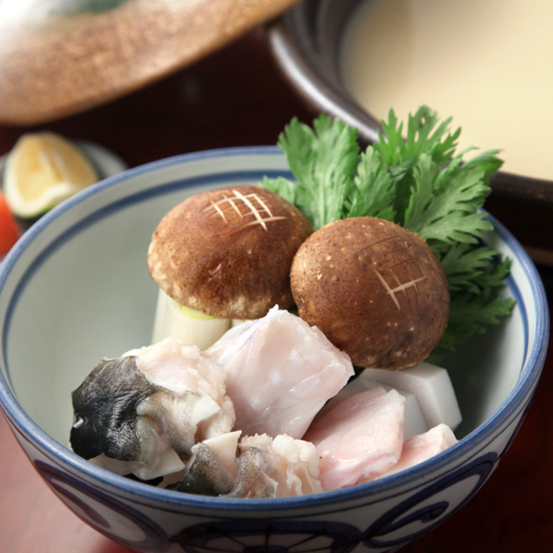 ふぐの豆乳鍋(やま祢 本店 （やまね）)