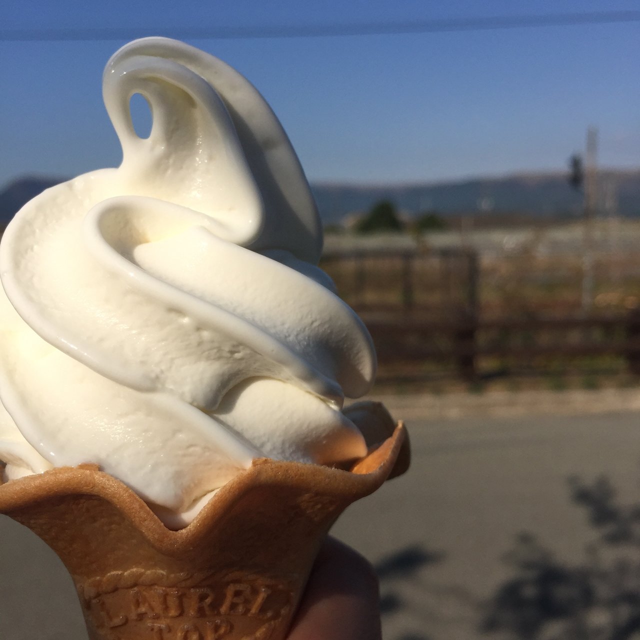 熊本県で食べられるアイスクリームランキング Sarah サラ