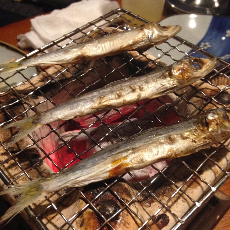 うるめいわし(炙り)(立道屋)