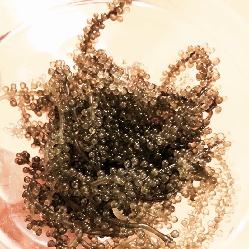 海ぶどう(沖縄そば やんばる （おきなわそば・やんばる）)