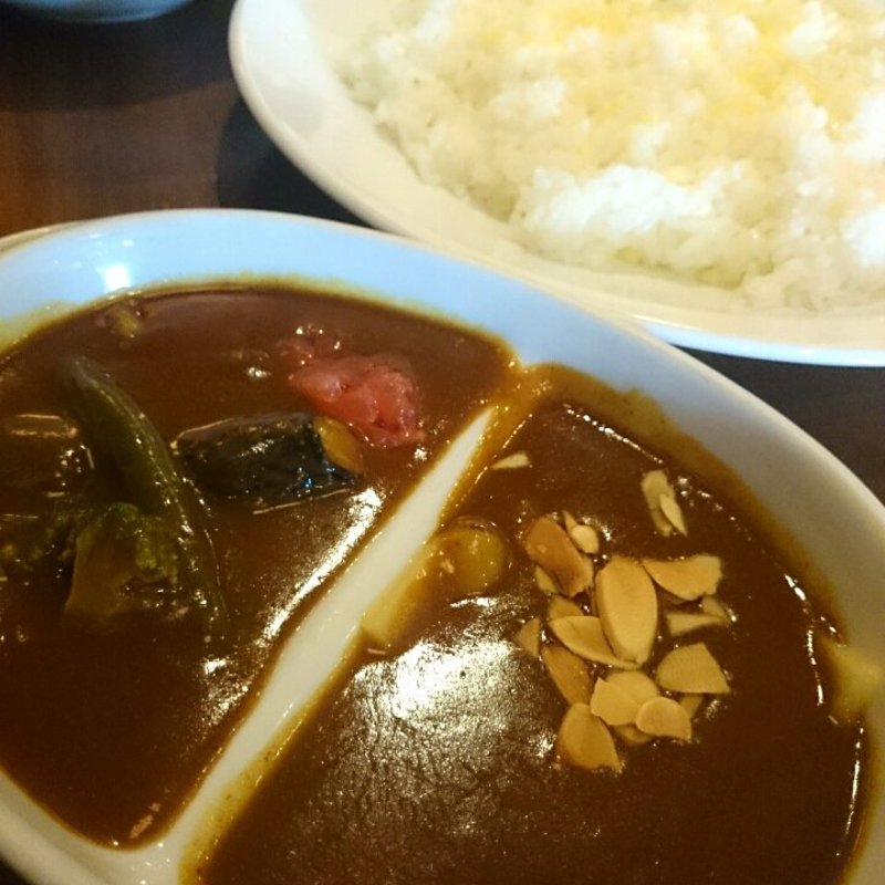 チーズカレー(ガヴィアル )