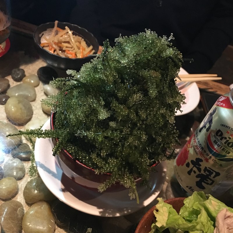 海ぶどうのつかみどり(金魚 本店 （きんぎょ）)