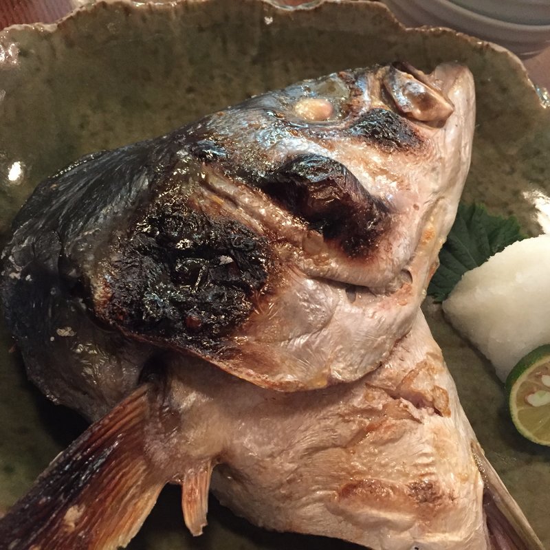 ブリカマ(都夏 （ツゲ）)