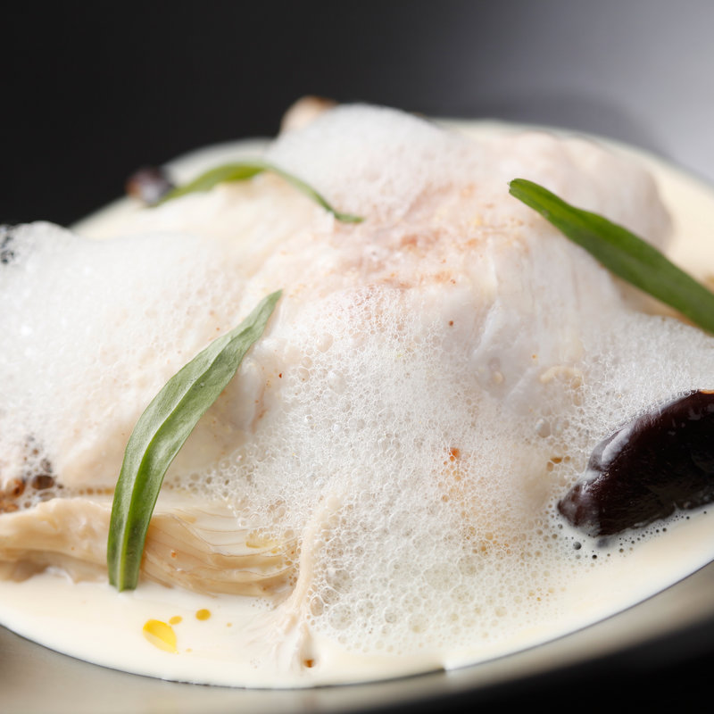 真鯛のクリームソース(クロストーキョー （ＣＲＯＳＳ ＴＯＫＹＯ）)