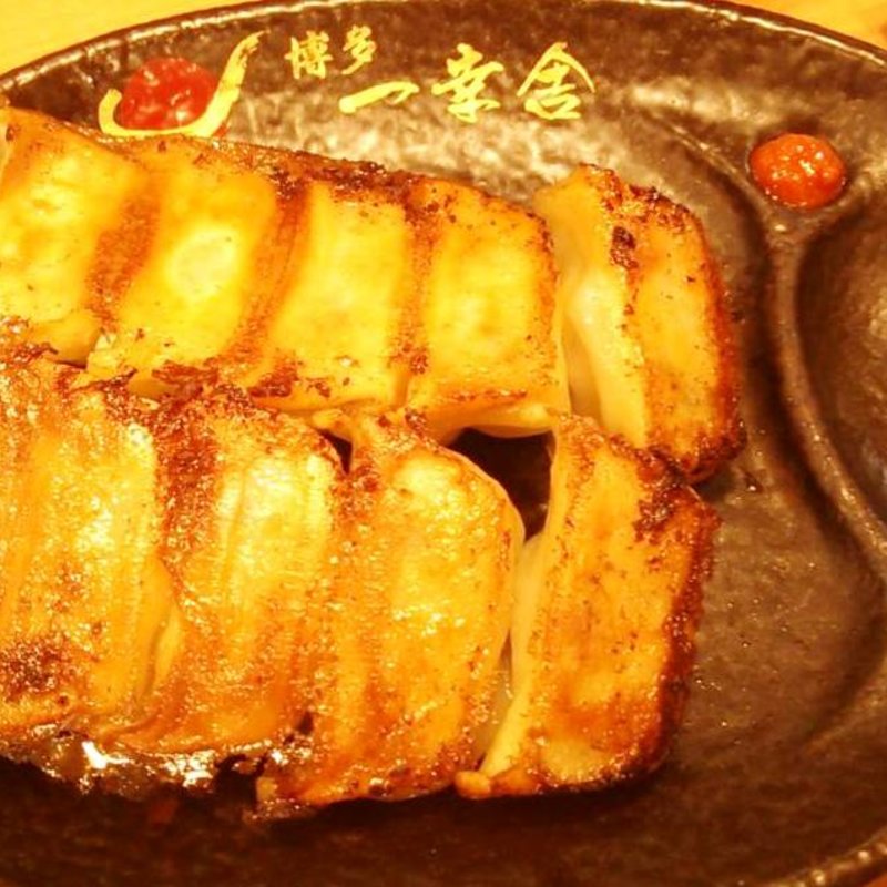 博多一口餃子(10個)(博多一幸舎 エキマルシェ大阪店)