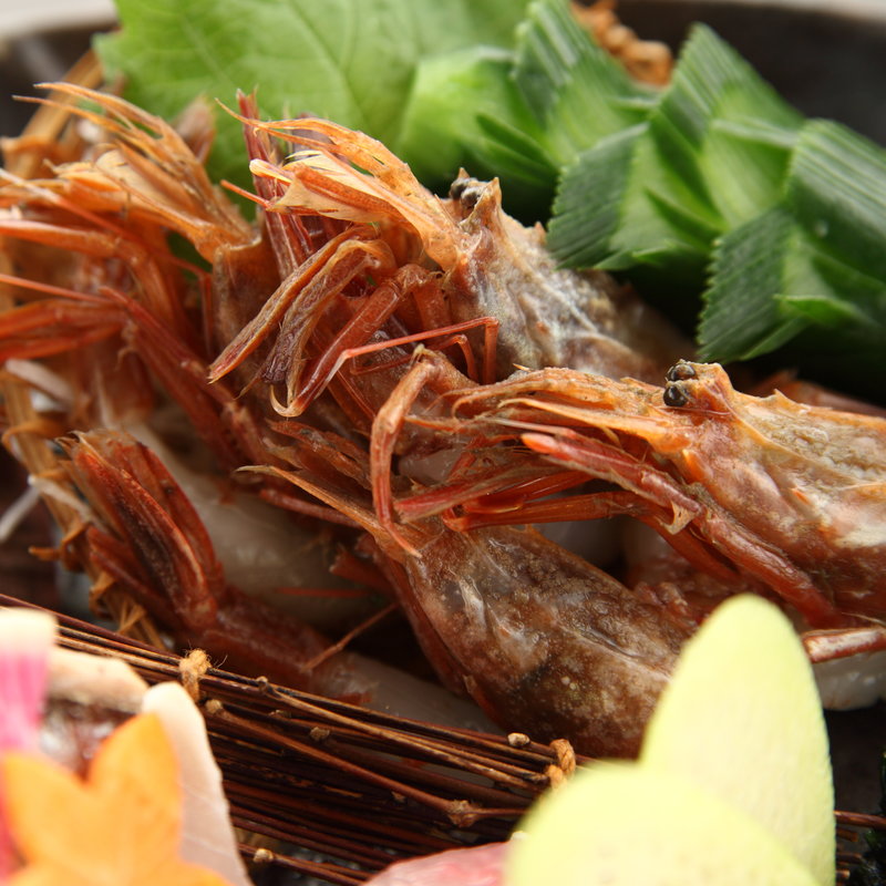 車海老のお造り(和食会席・個室 銀座竹の庵 5丁目本店)