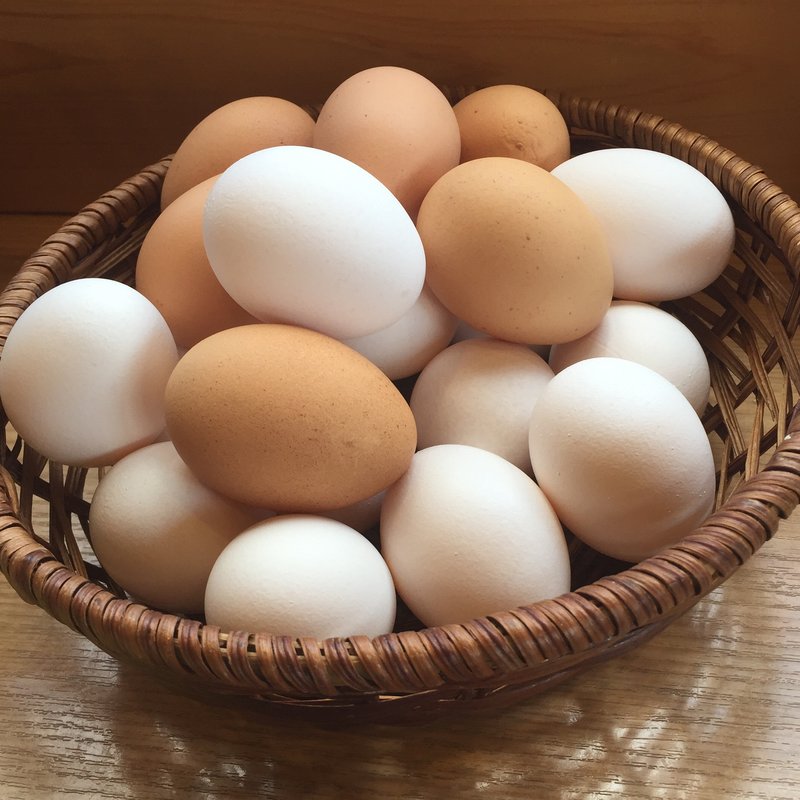 生みたて卵(卵庵はしたま)