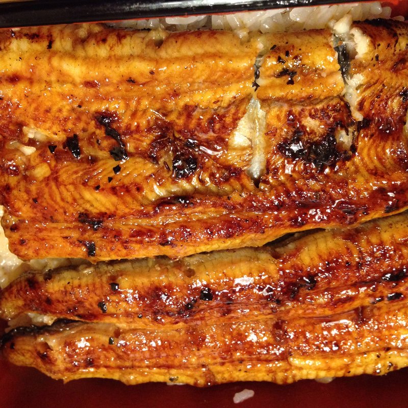 (隅田川 うなぎ)