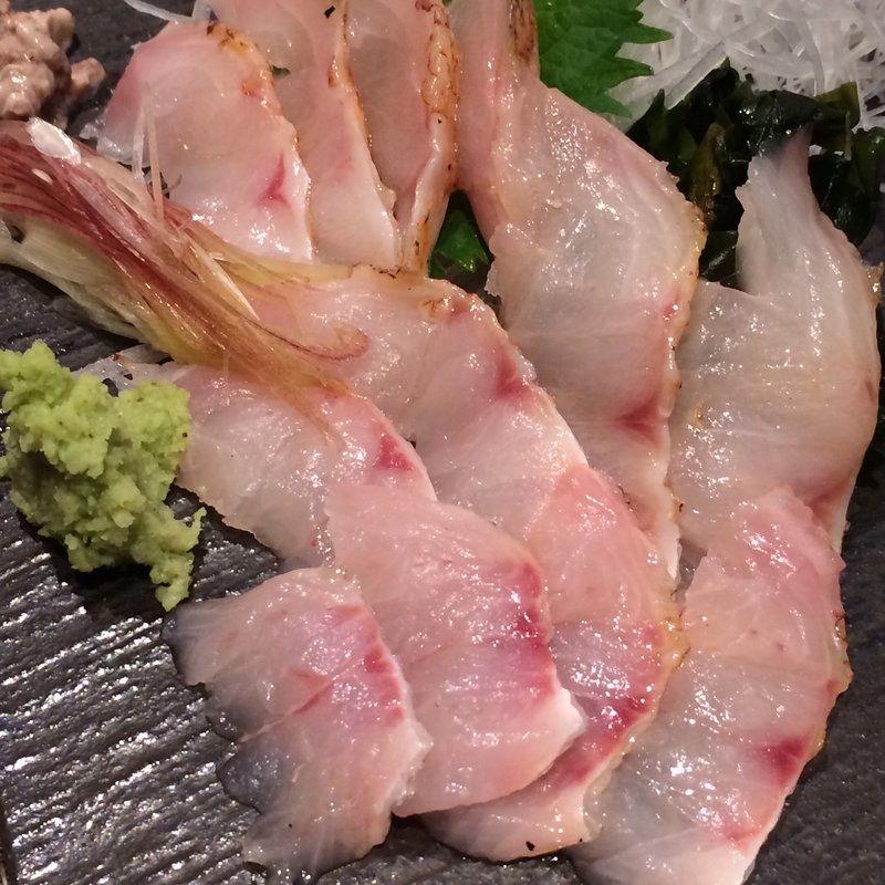 のどぐろお造り(新潟地酒 花ゆず)