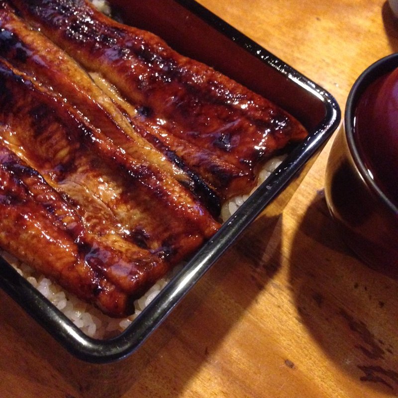 上うなぎ(魚藤)