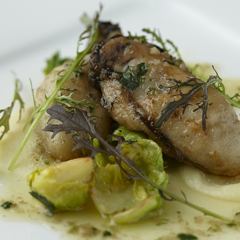 おまかせコース(アリアラスカ・マーブルトレ)