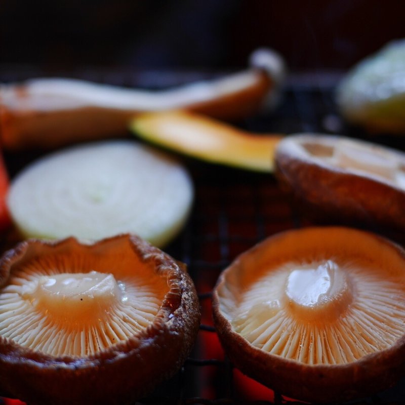 桃コース(きのこ苑　お山のたいしょう)