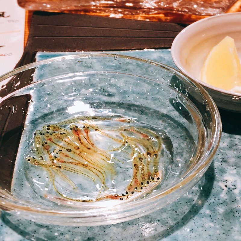 しらうおの踊り食い(本気家 源天)