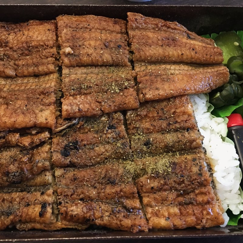 鰻弁当(柳橋 こだに )