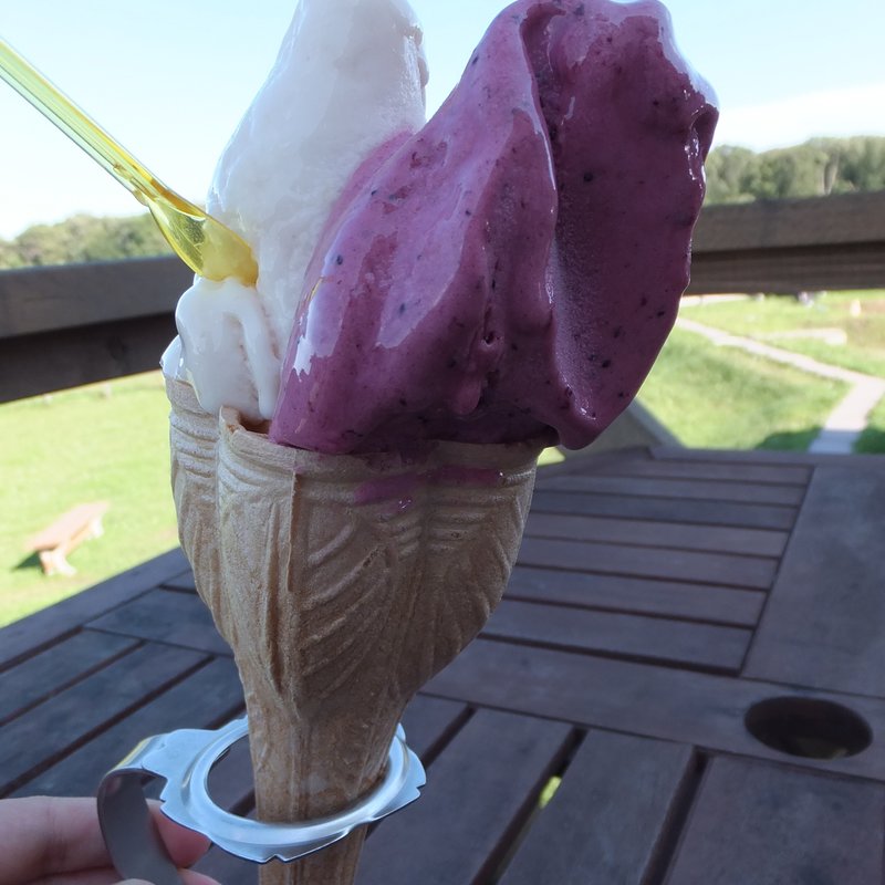 ジェラート（ブルーベリーソルベ＆白桃）(ミルティーロ （MIRTILLO）)