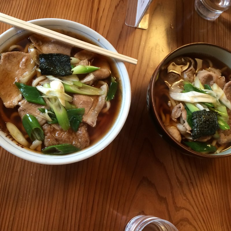 肉うどん　大盛りと普通盛り(笹川食堂 )
