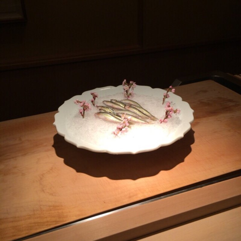 さくらもろこ(祇園 丸山 （ぎおん まるやま）)