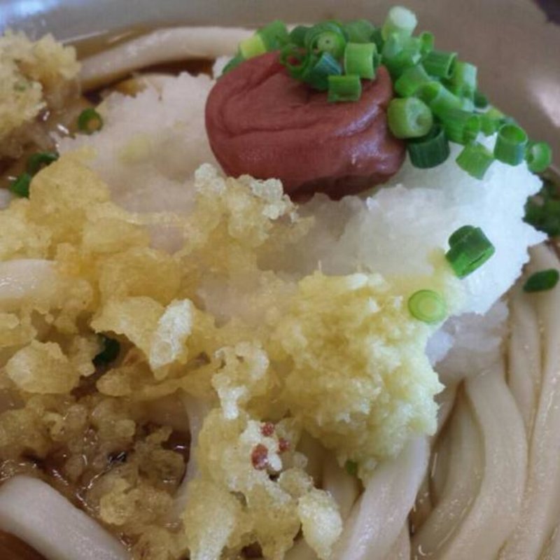 梅干しうどん(根っこ 三谷店 （ねっこ）)