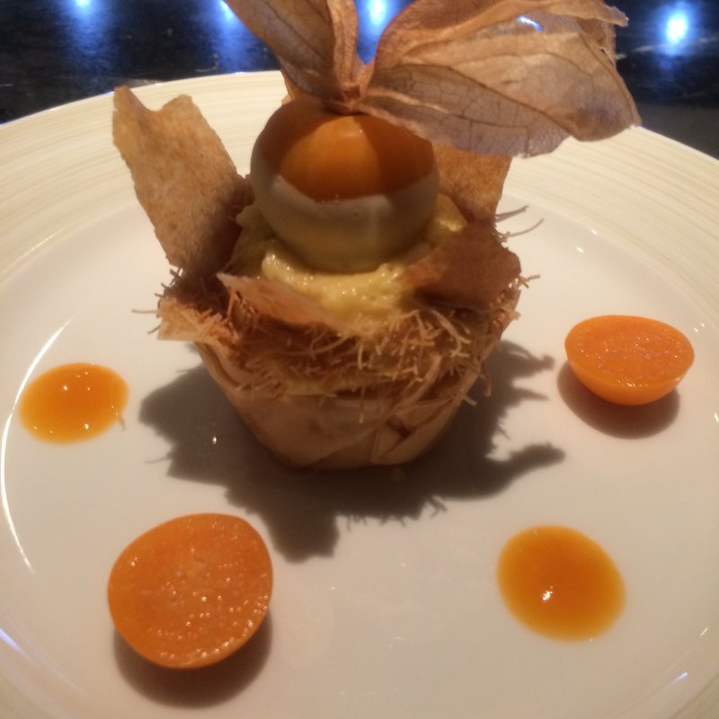 タンバルアプリコフィザリス(Toshi Yoroizuka Mid Town (トシ ヨロイヅカ ミッドタウン))