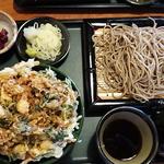 ミニかき揚げ丼付きせいろ