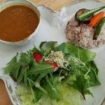 スペシャルランチ(ナチャラルカフェポクラト)