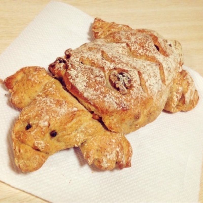 ワニガメ(ブランジェリーケン)