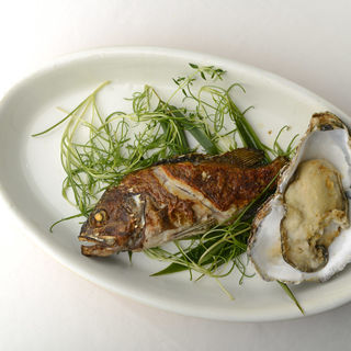 真鯛と牡蠣のフリット(ヱス食堂 )