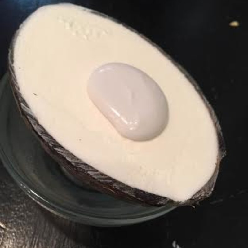 殻つきココナッツアイス(三条ぱくちー)