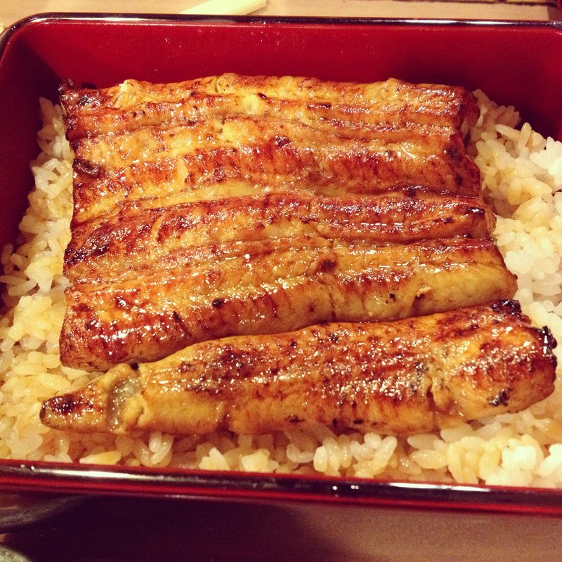 鰻重　並(うなぎ はし本)