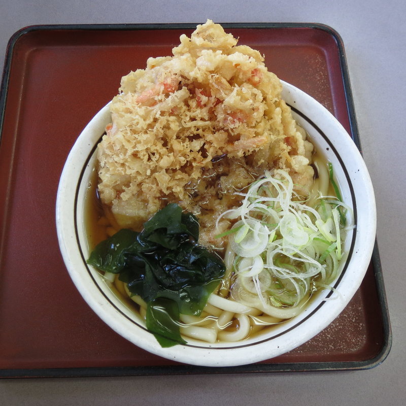 天ぷらうどん(山田うどん食堂 幸町店)