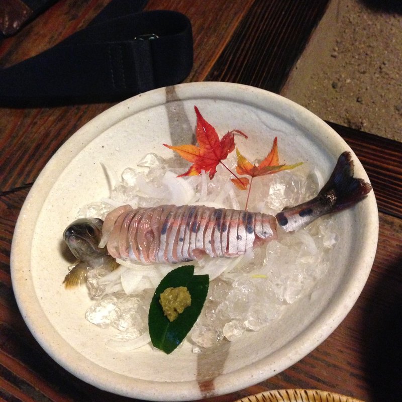 椿コース(やまめ山荘)