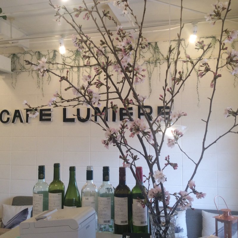 (ルミエール （Lumiere）)