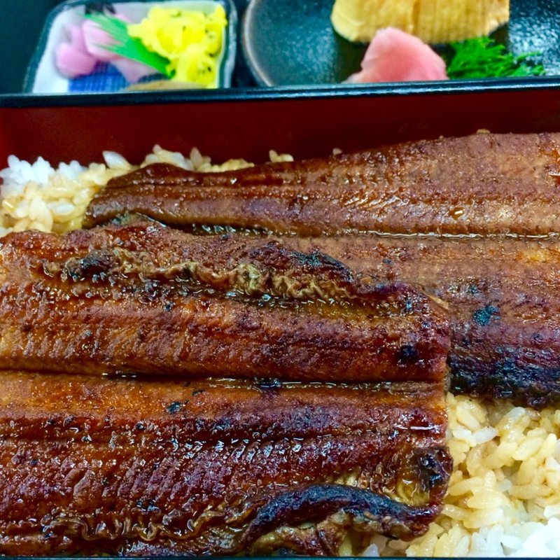 超極上鰻まむし(かねよ )