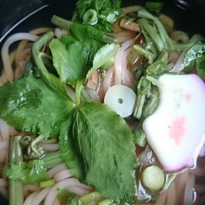 さくらうどん(平木商店)